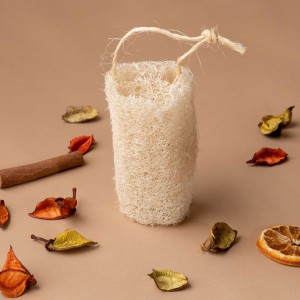 ΣΦΟΥΓΓΑΡΙ (LUFFA) ΣΦΟΥΓΓΑΡΙ (LUFFA)